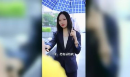 在线观看视频你懂的,你懂的背后的秘密与现象